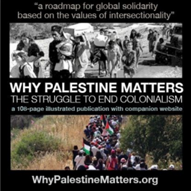 Why Palestine Matters Course | 2026 - logo